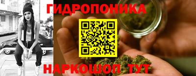 винт Партизанск