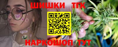 винт Партизанск