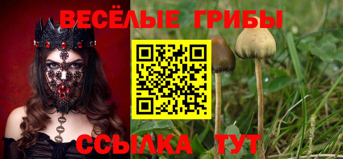Псилоцибиновые грибы прущие грибы  Вход с VPN  Ростов-на-Дону 